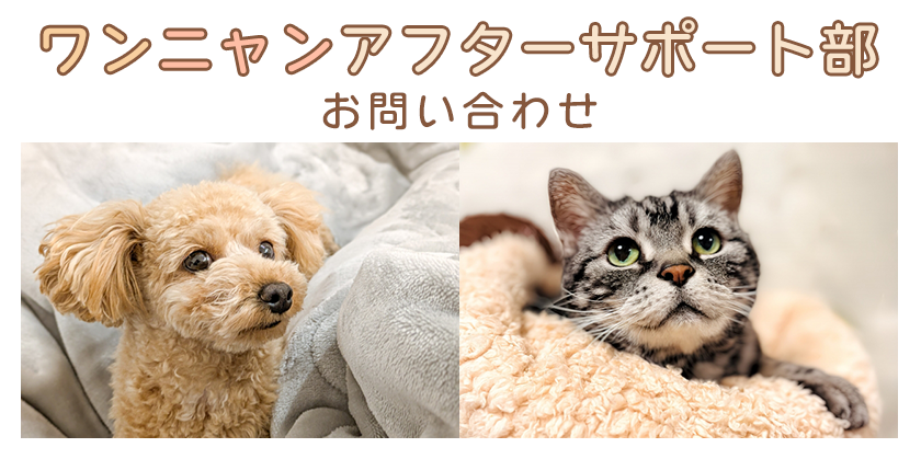 わんにゃんアフターサポート部